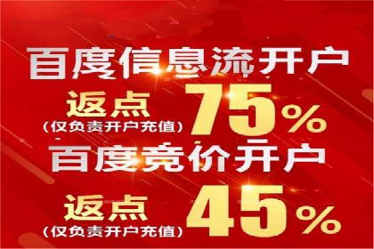 百度竞价托管外包服务案例：提升广告投放效率的秘诀